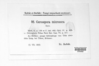 Paracercosporidium microsorum image